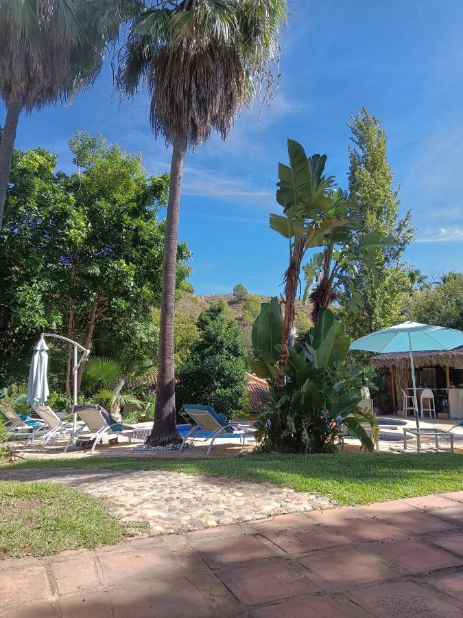La Fuente Oase Bed & Breakfast Coín